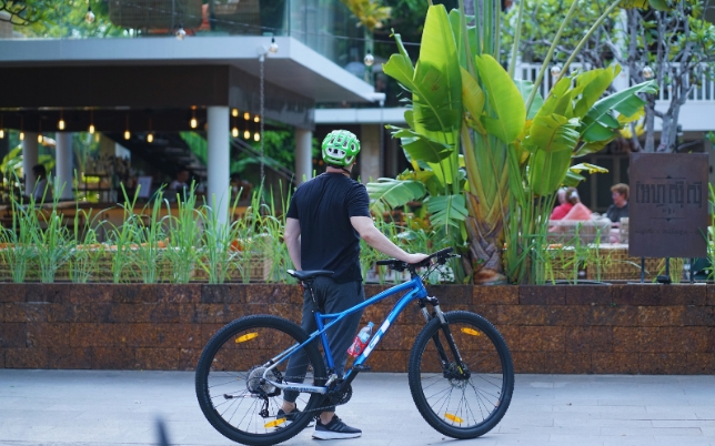 Bicycles daily rentals